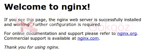 nginx_defaultgorsel1-1