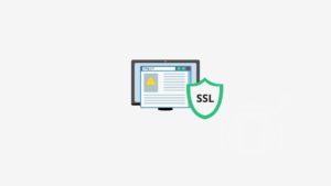 yüksek çözünürlüklü tls-ssl temsili logo