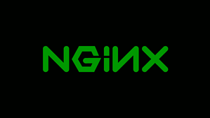 yüksek çözünürlüklü nginx logosu