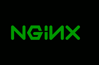 yüksek çözünürlüklü nginx logosu