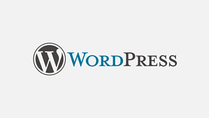 wordpress guvenlik kontrol listesi, wordpress güvenlik ipuçları, wordpress güvenlik