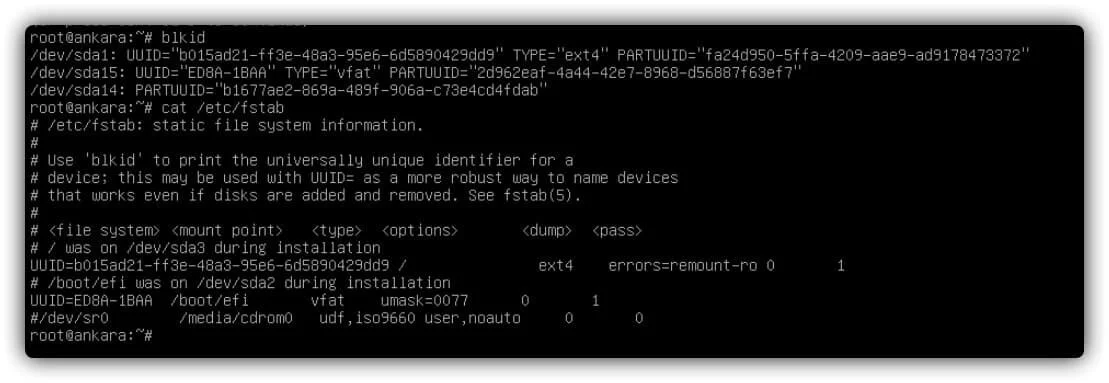 linux uefi boot partition sorunu ve onarma yöntemi 3 fstab kontrol, blkd ile disk id kontrolü