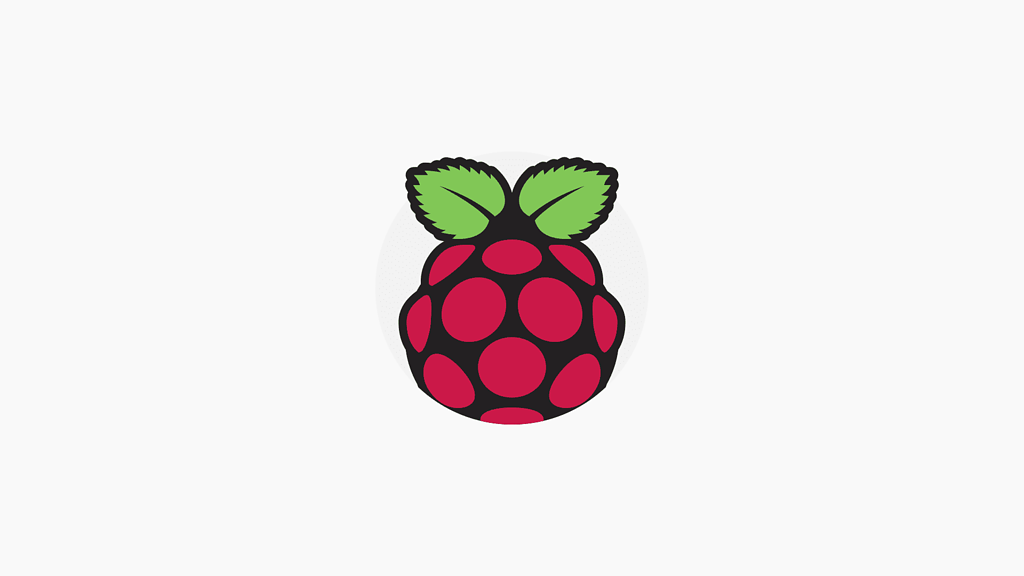 raspberry pi yüksek çözünürlüklü logo, raspberry pi logo