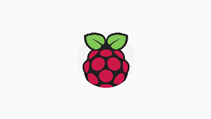 raspberry pi yüksek çözünürlüklü logo, raspberry pi logo