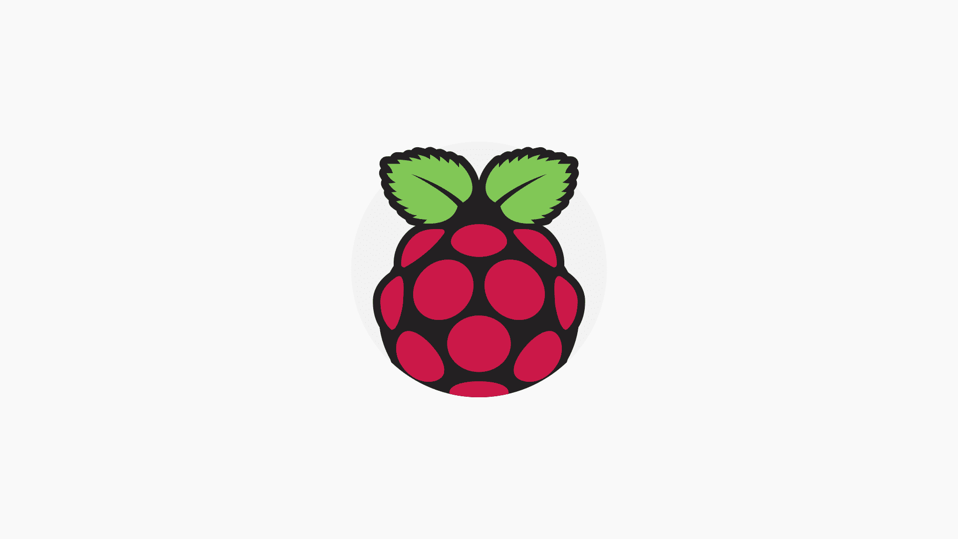 raspberry pi yüksek çözünürlüklü logo, raspberry pi logo