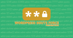 wordpress brute force, brute force nasıl yapılır, brute force önleme yöntemleri