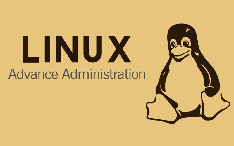 linux admin yetiştirme görseli, linux admin nasıl yetişir, linux ileri seviye eğitim